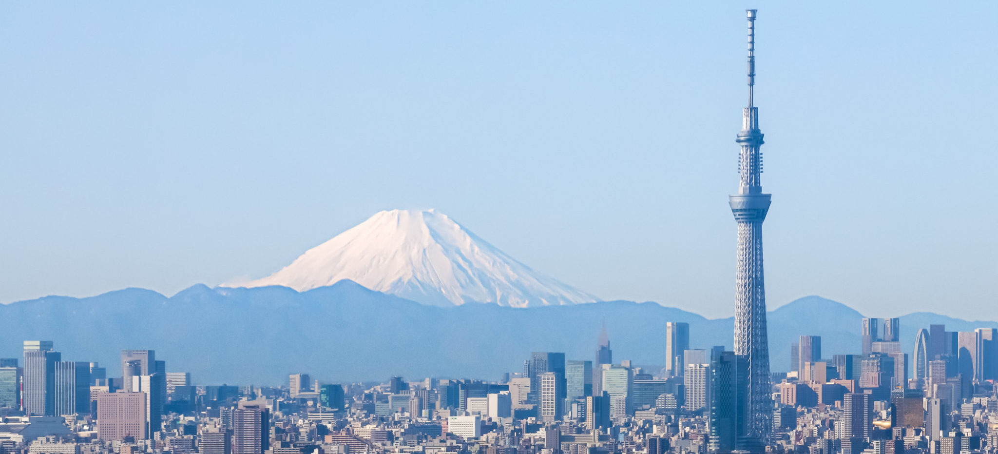 Tokyo city view