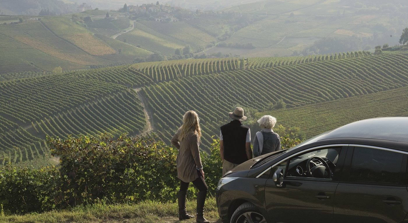 People look at vineyard