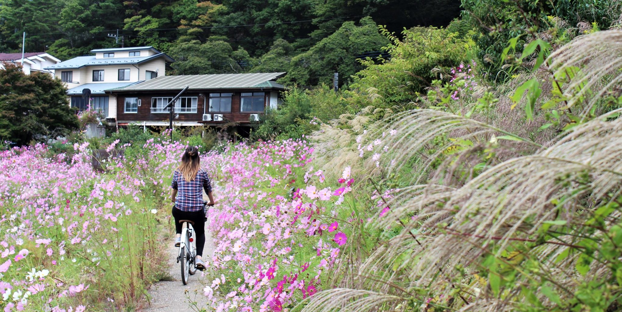 lake kawaguchi