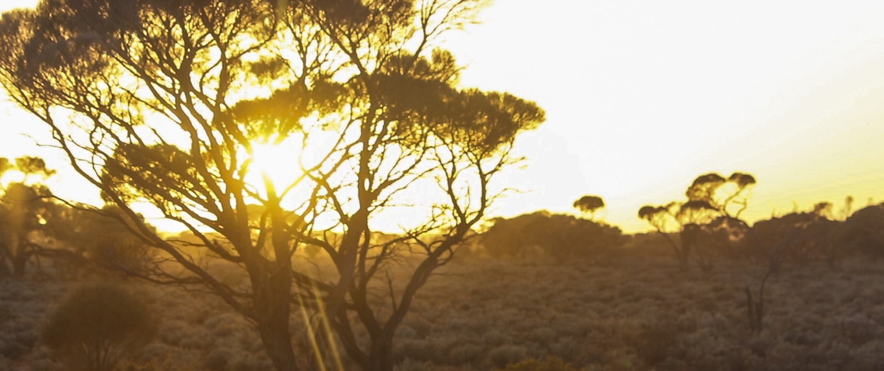 Sunrise from the window of the Indian Pacific.