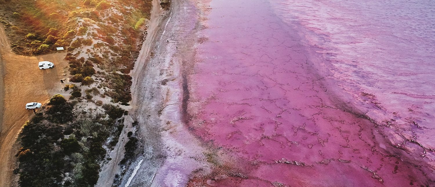 Hutt Lagoon, near Port Gregory