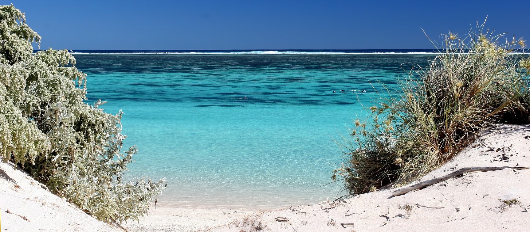 Ningaloo Reef