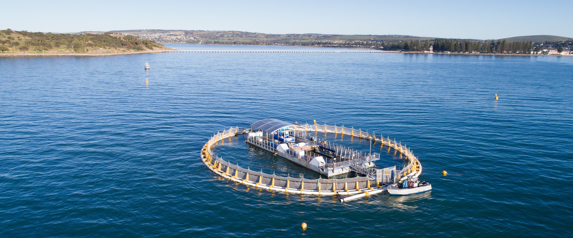 Oceanic Victor, just off the coast of the Fleurieu Peninsula.