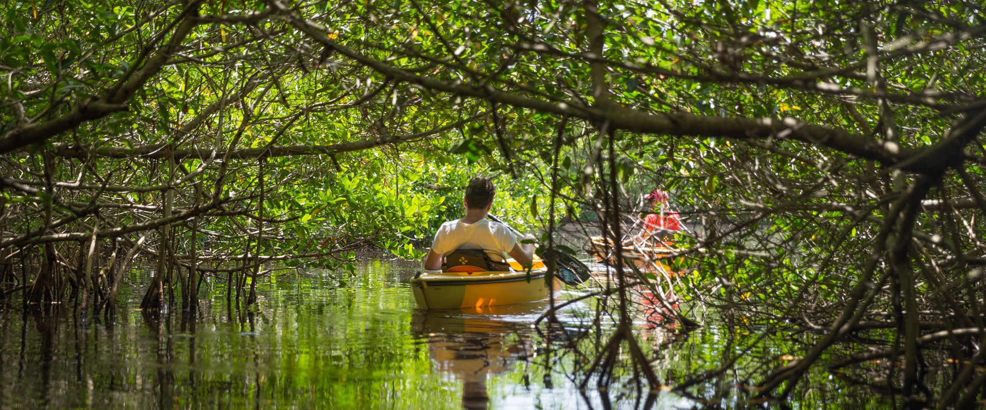 Adventure Kayaking.