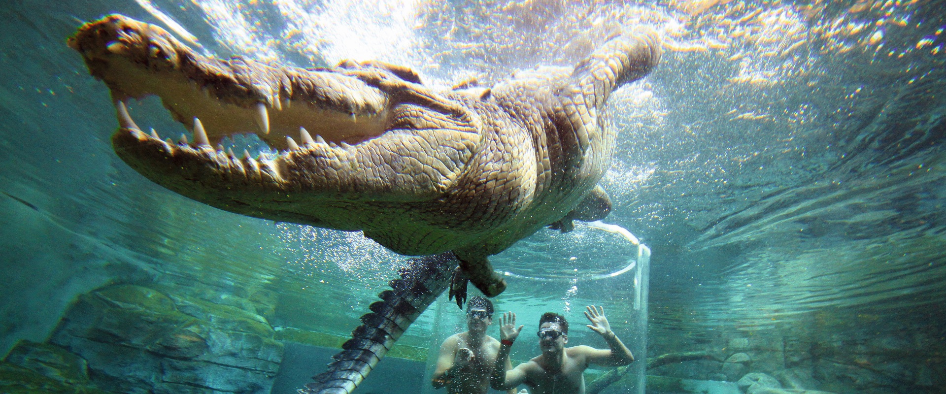 The Cage of Death at Crocosaurus Cove.