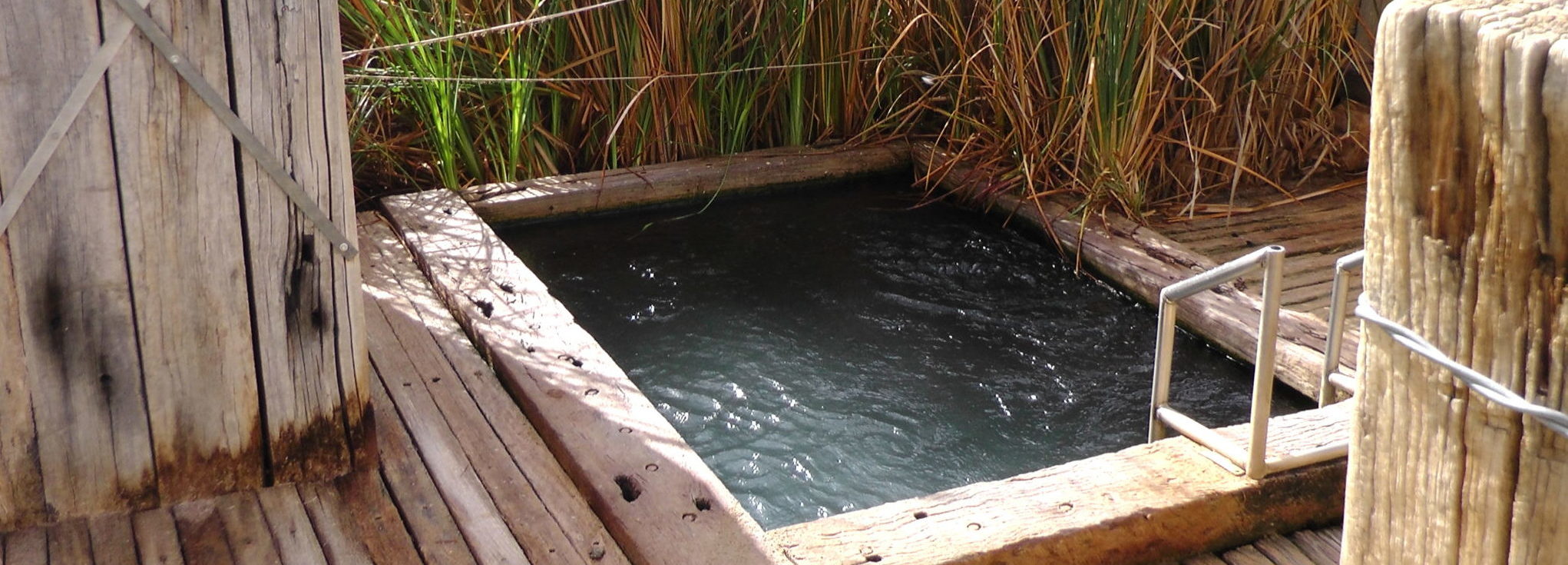 Spa pool fed by aretesian waters at Coward Springs.