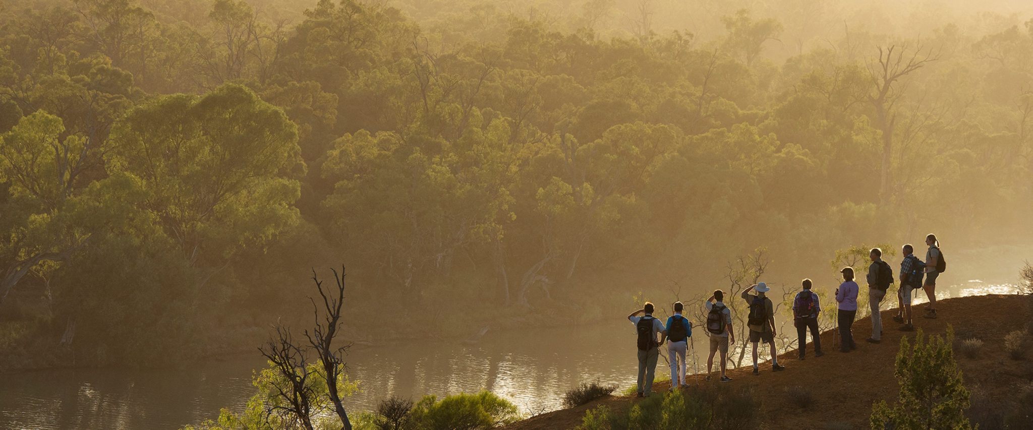 Headings Cliff Lookout, Riverland