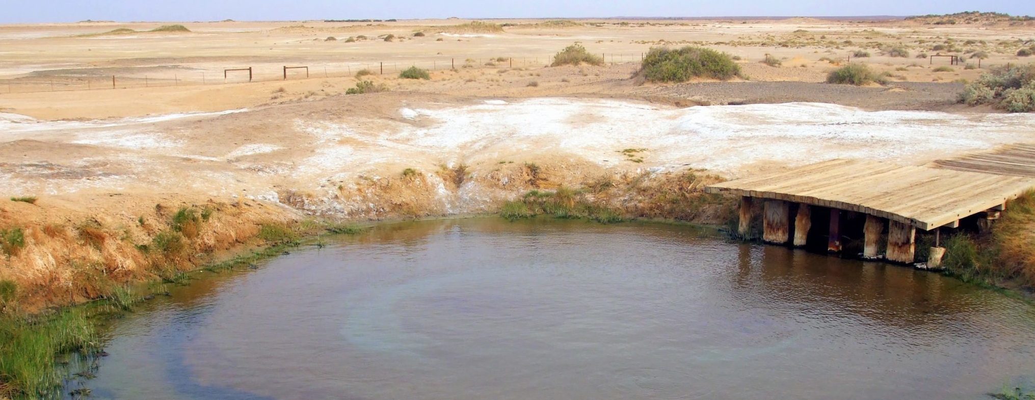 Wabma Kadarbu springs, bubbling up from the dusty desert.