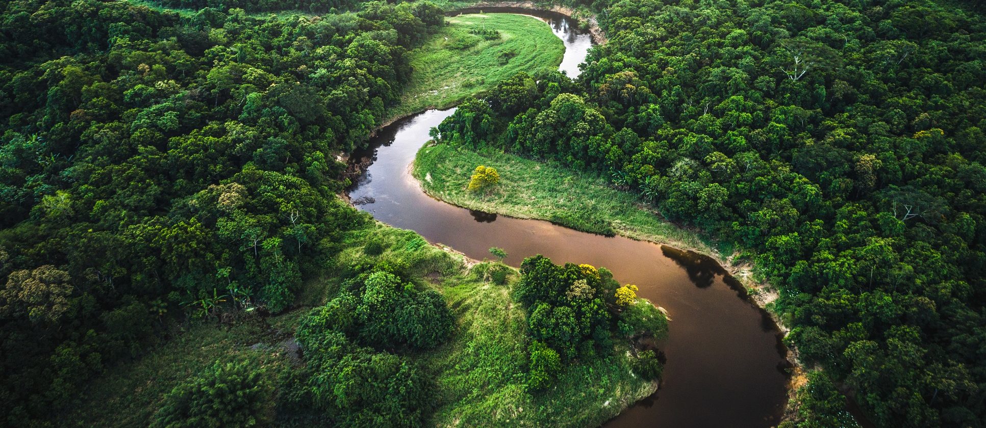 Drone shot of the Amazon River.