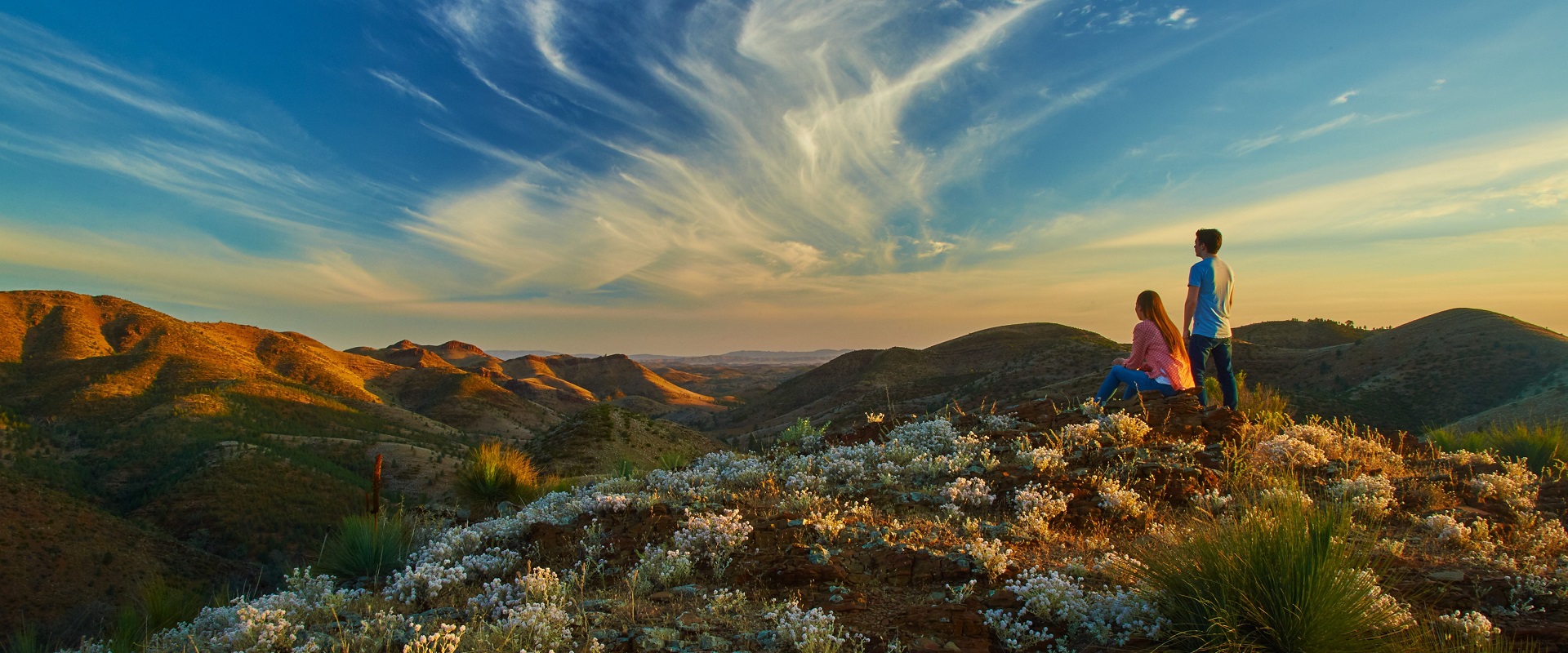 Yacca Lookout, Willow Springs Station. Image: SATC