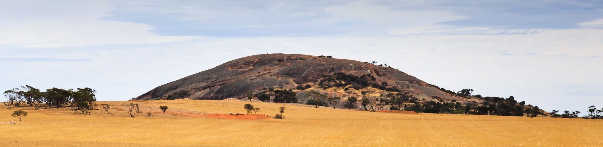 Mt Wudinna rising up from the farmlands