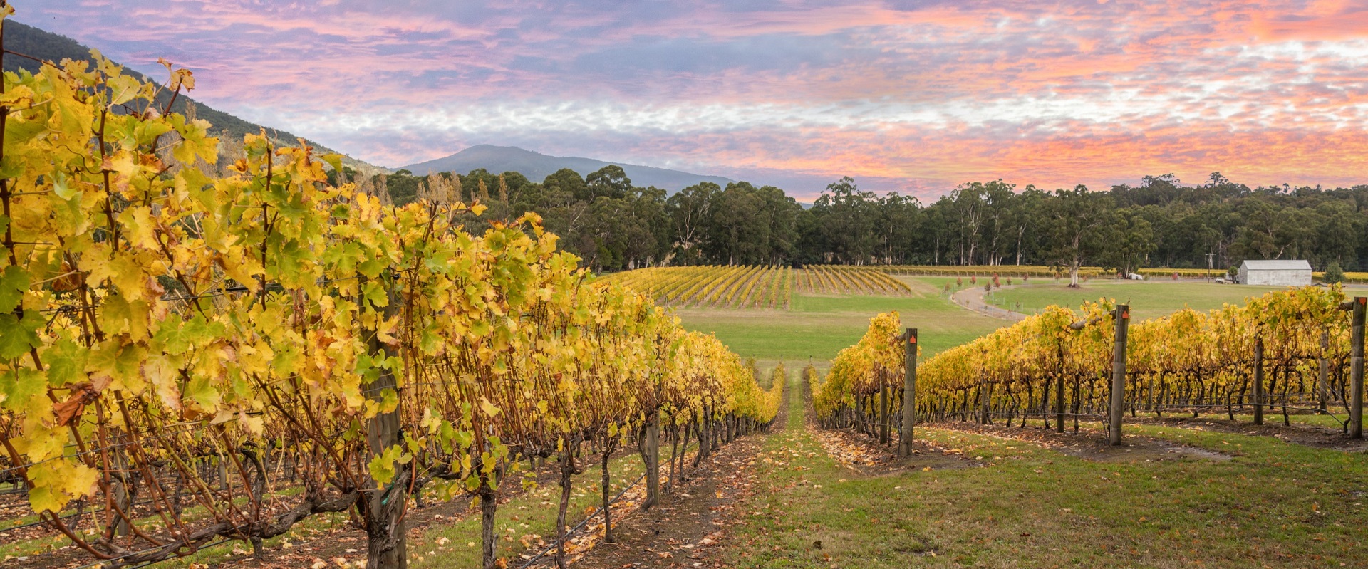 The Yarra Valley, Victoria.