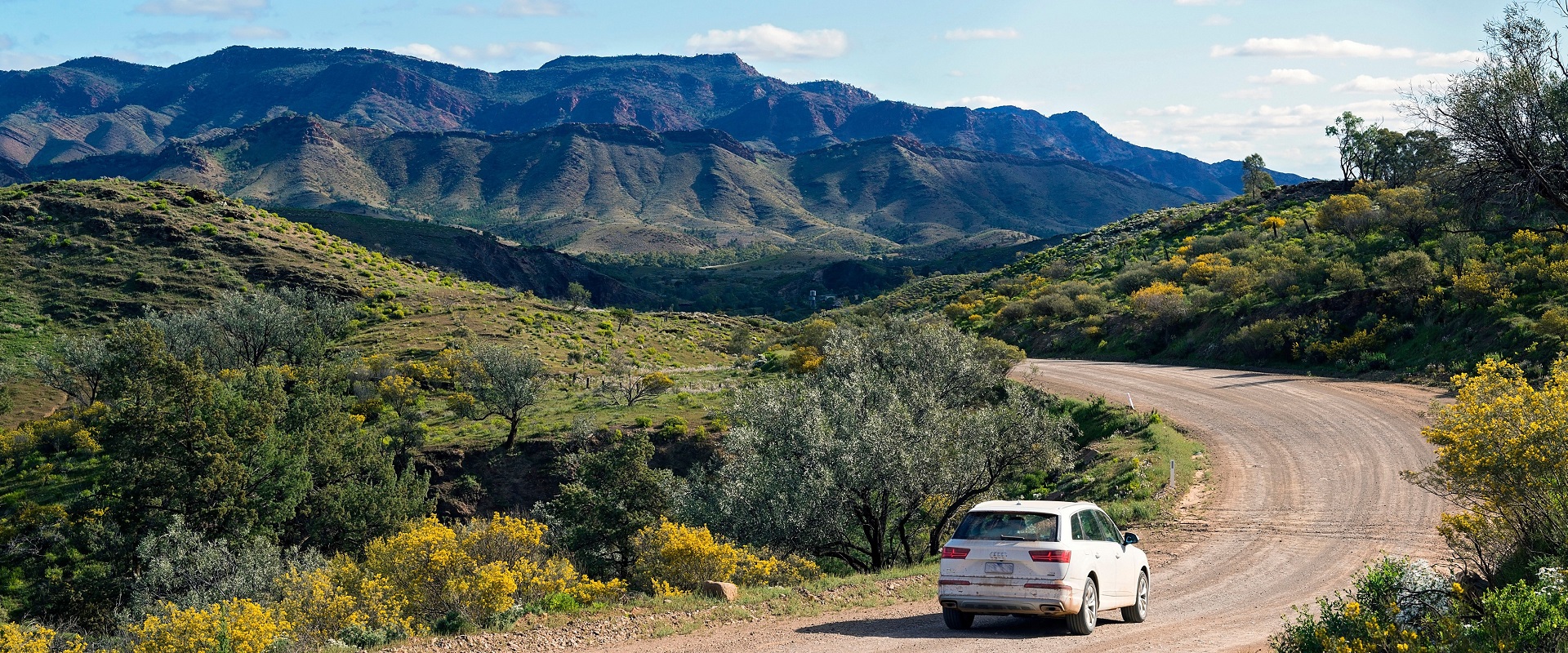 Bunyeroo Valley Road, Flinders Ranges.