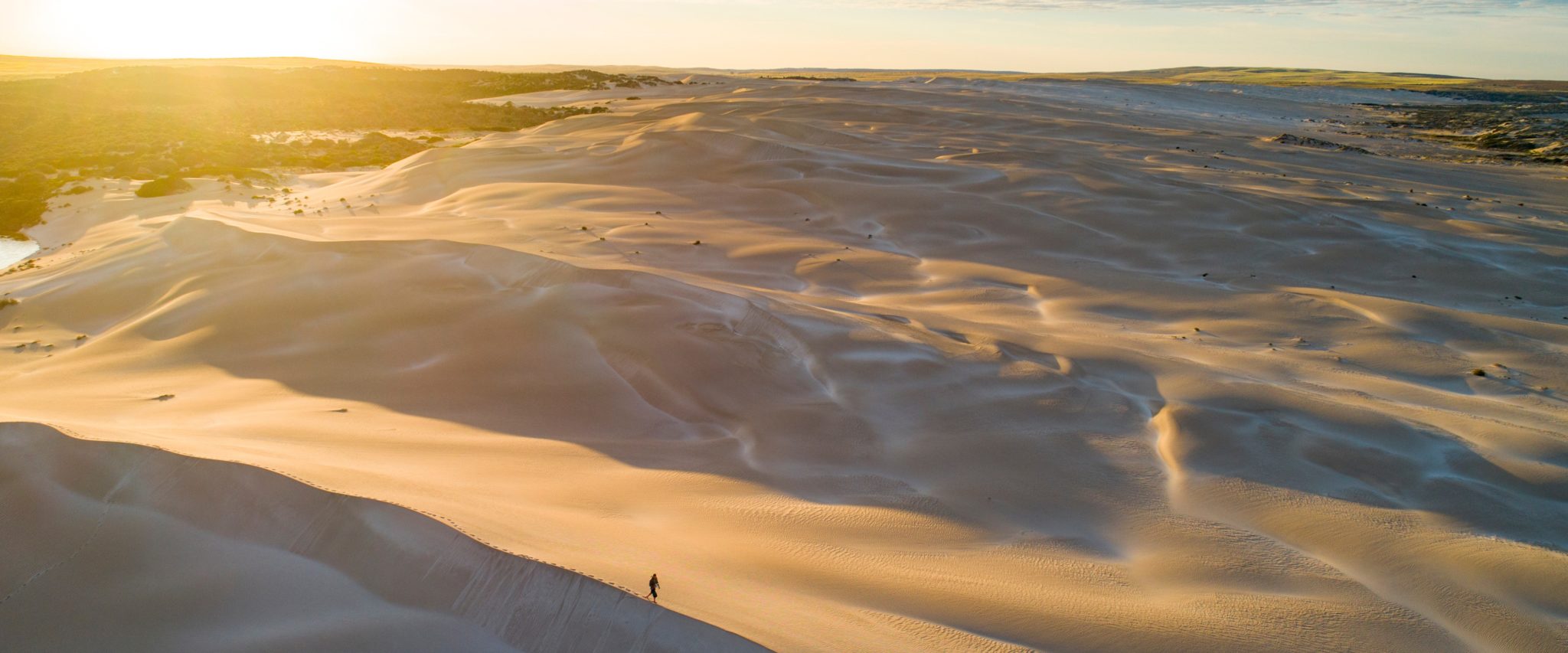 Sand Dunes, Sheringa Beach, Eyre Peninsula.