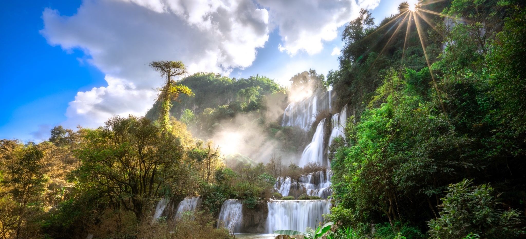 Gushing waterfall surrounded by lush green foliage.