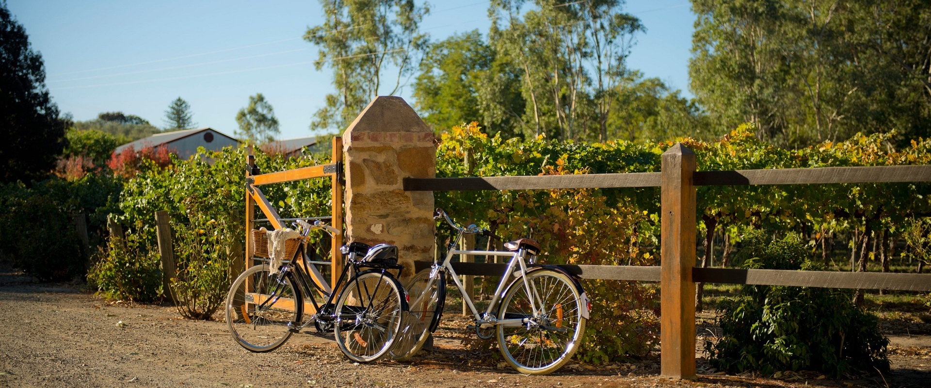 Clare Valley Riesling Trail, Clare. Image: SATC.