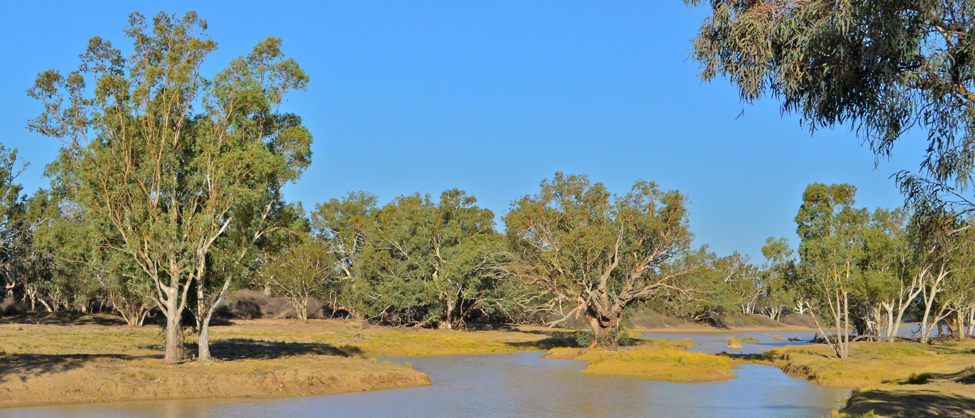 Cooper Creek, west of Innamincka