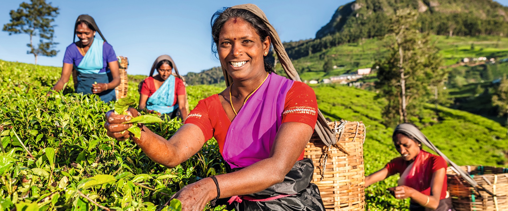 Sri Lanka.