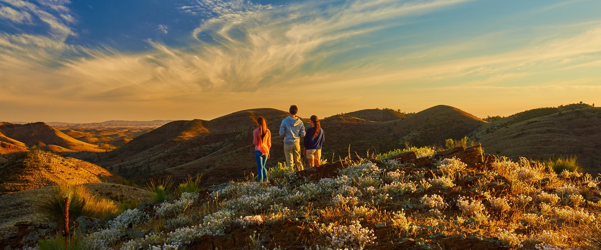 Willow Springs Station, Flinders Ranges. Image: SATC.