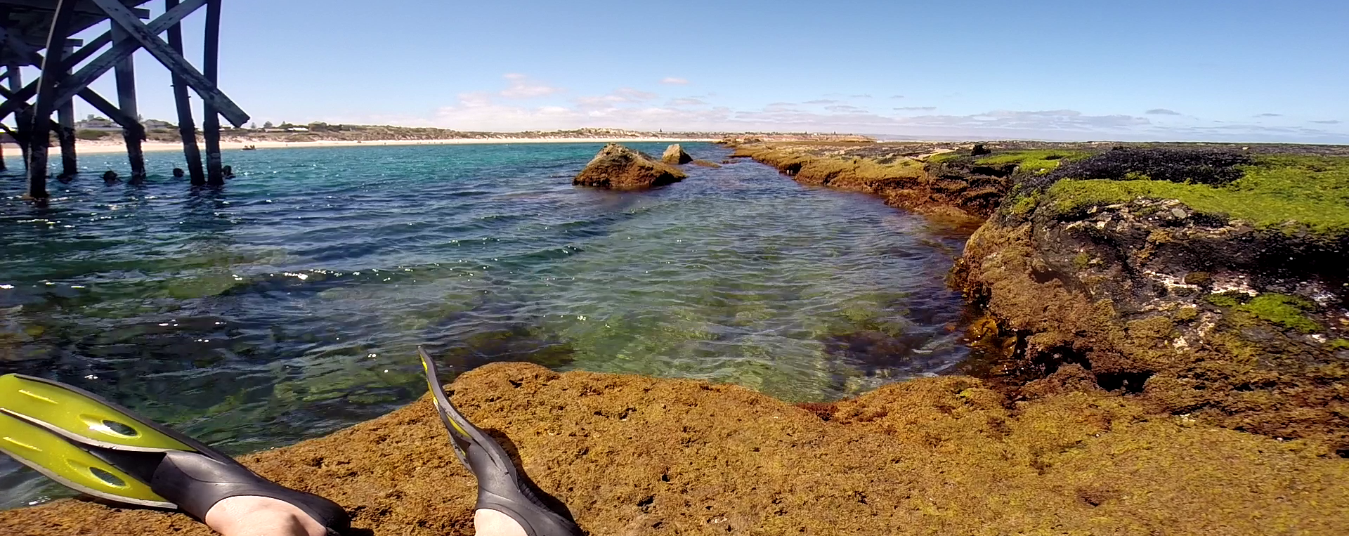 Taking a break at Port Noarlunga Reef