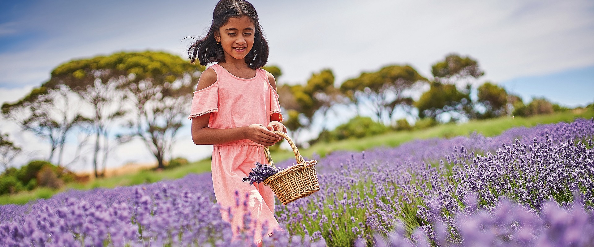 Emu Bay Lavender Farm. Image: SATC