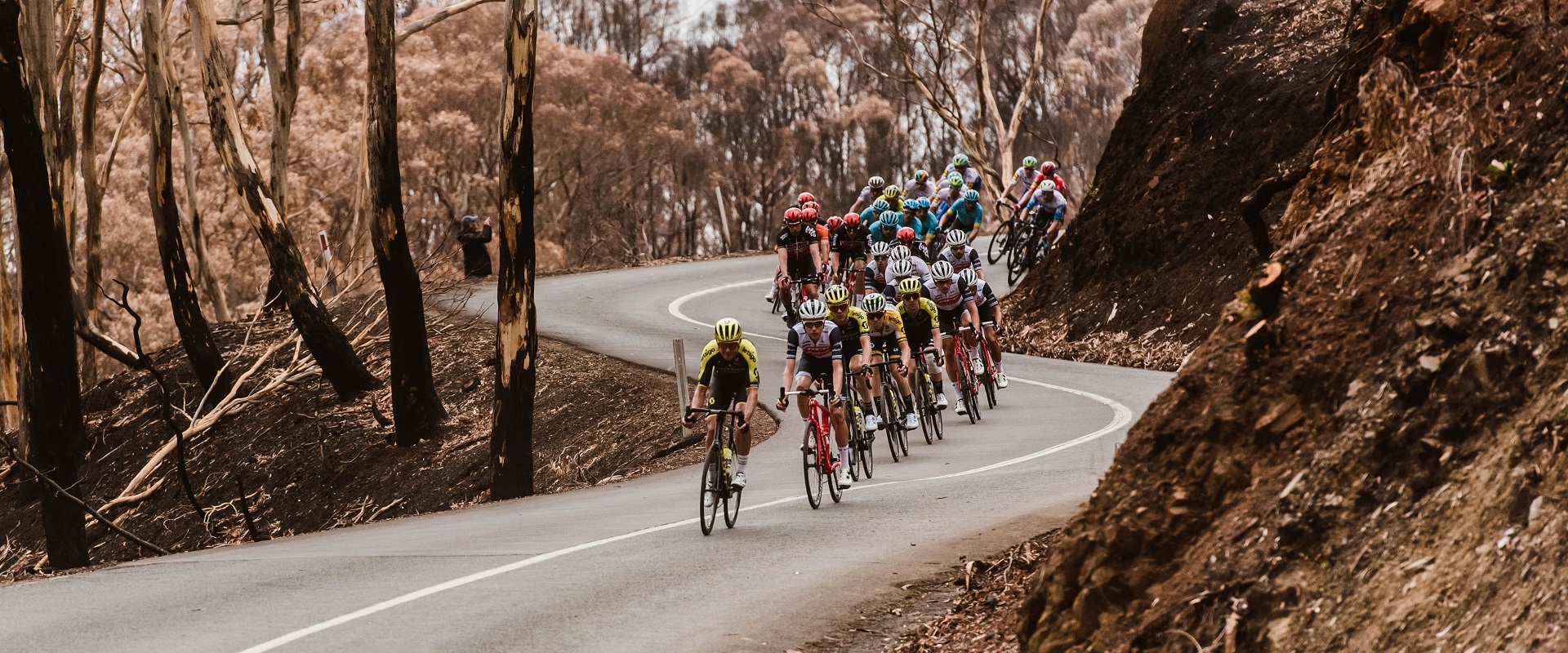 Winding roads in the Adelaide Hills. Image: SATC