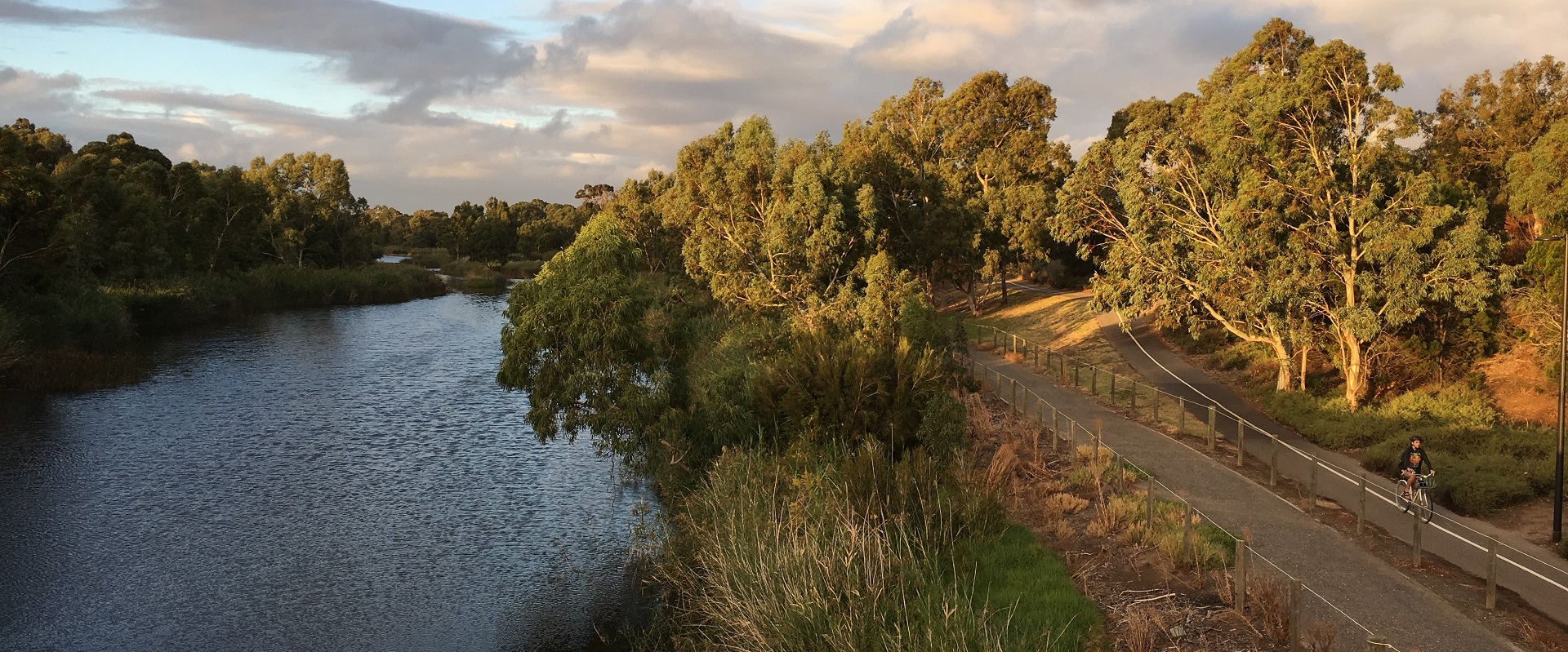 The River Torrens Linear Park Trail. Image: John Pedler