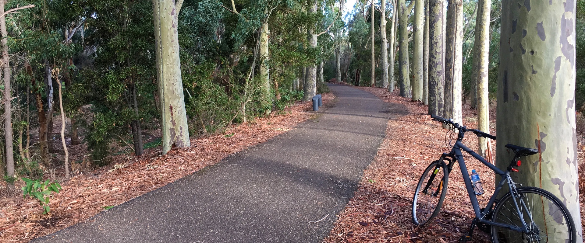 Cycling along the Sturt River Trail. Image: John Pedler