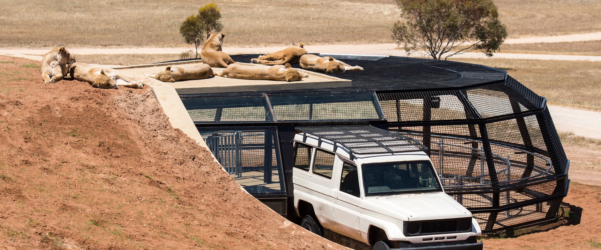 Monarto Zoo. Image: SATC