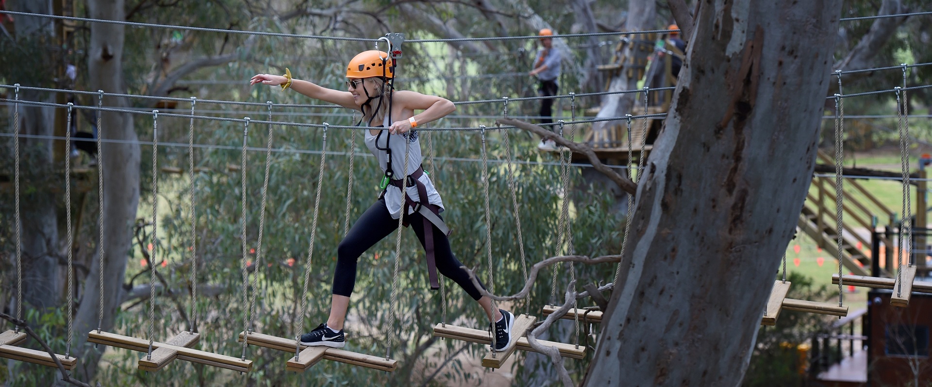 TreeClimb Adelaide. Image: SATC