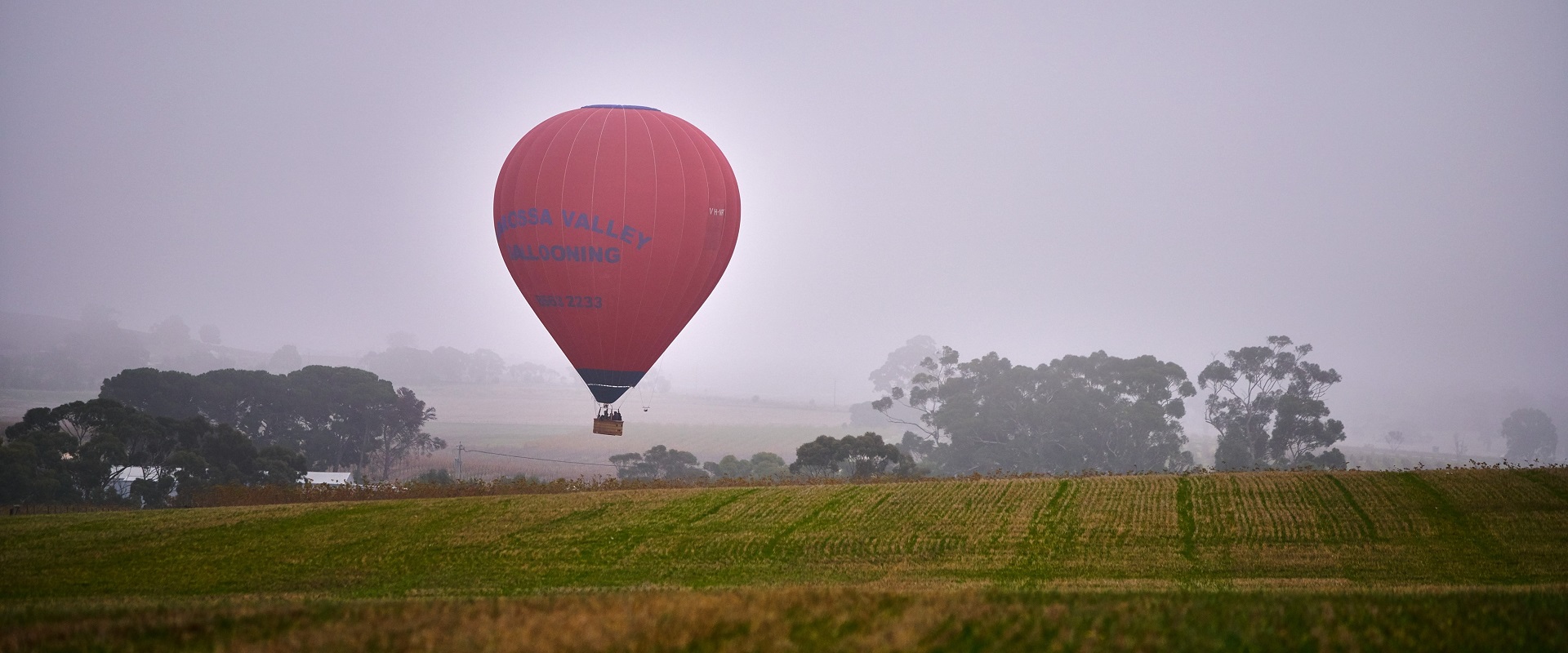 Hot air ballooning over the Barossa.