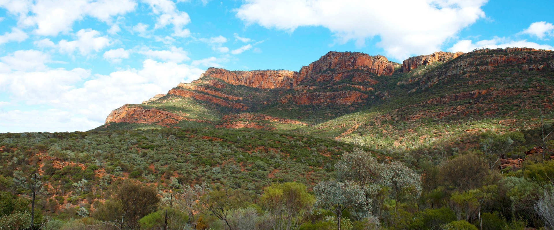 Arkaroo Rock, Wilpena Pound. Image: SATC