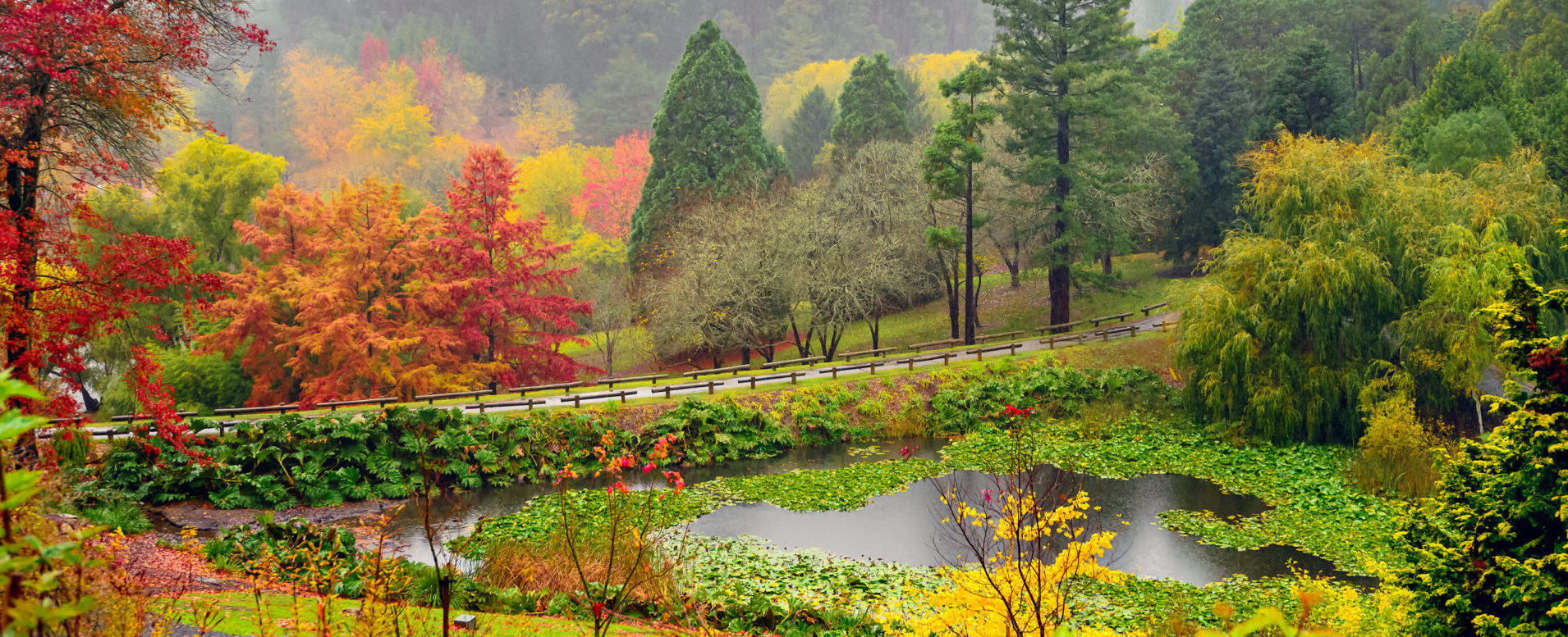 Autumn landscape under the rain in Adelaide Hills