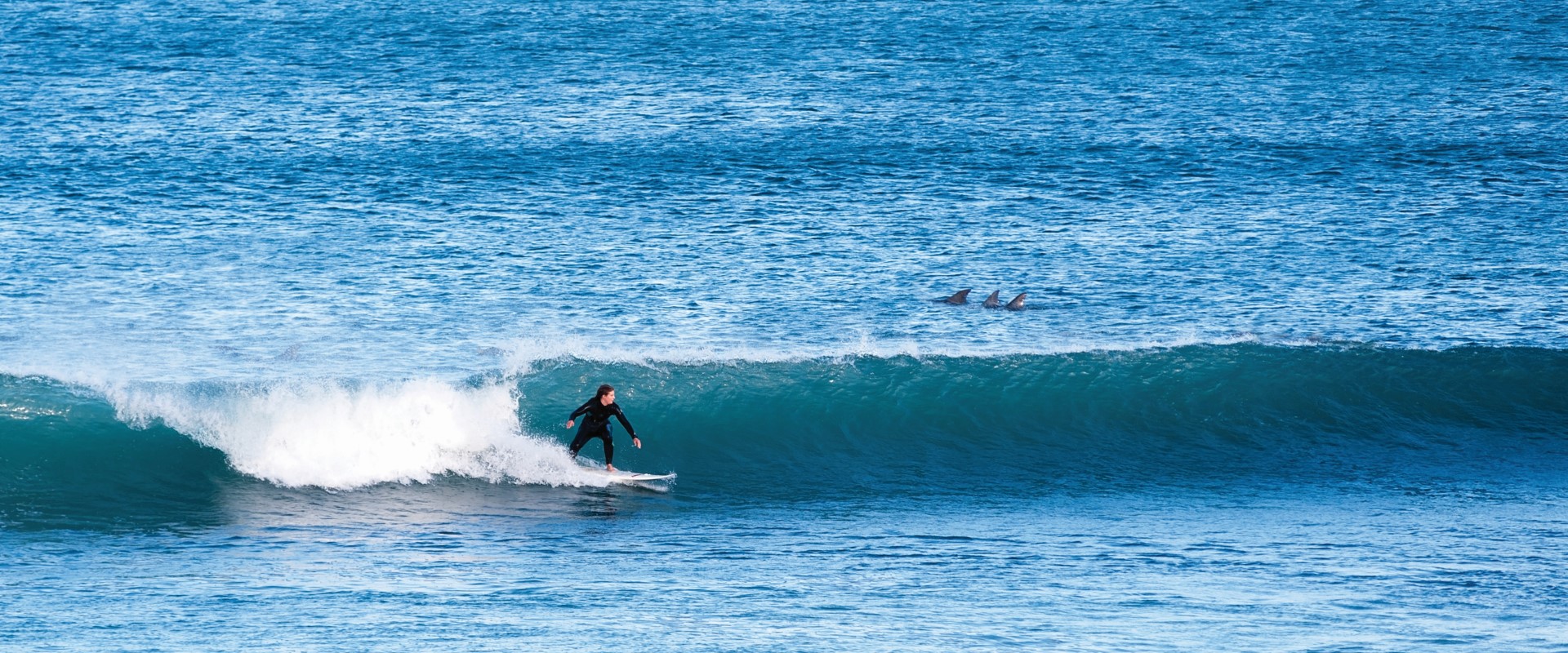 Pondalowie Bay, Yorke Peninsula. Image: SATC/John Montesi