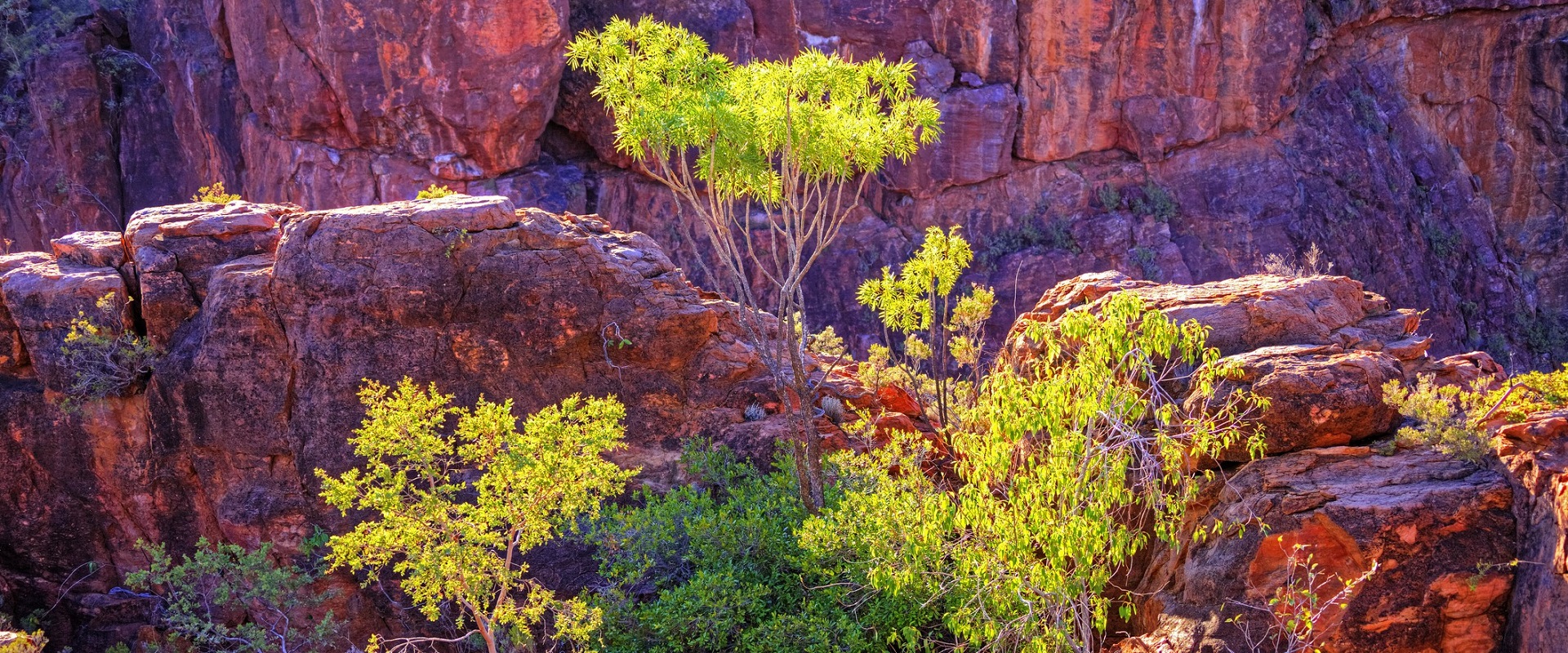 Lawn Hill/Boodjamulla view from Duwadarri lookout. Image: Getty