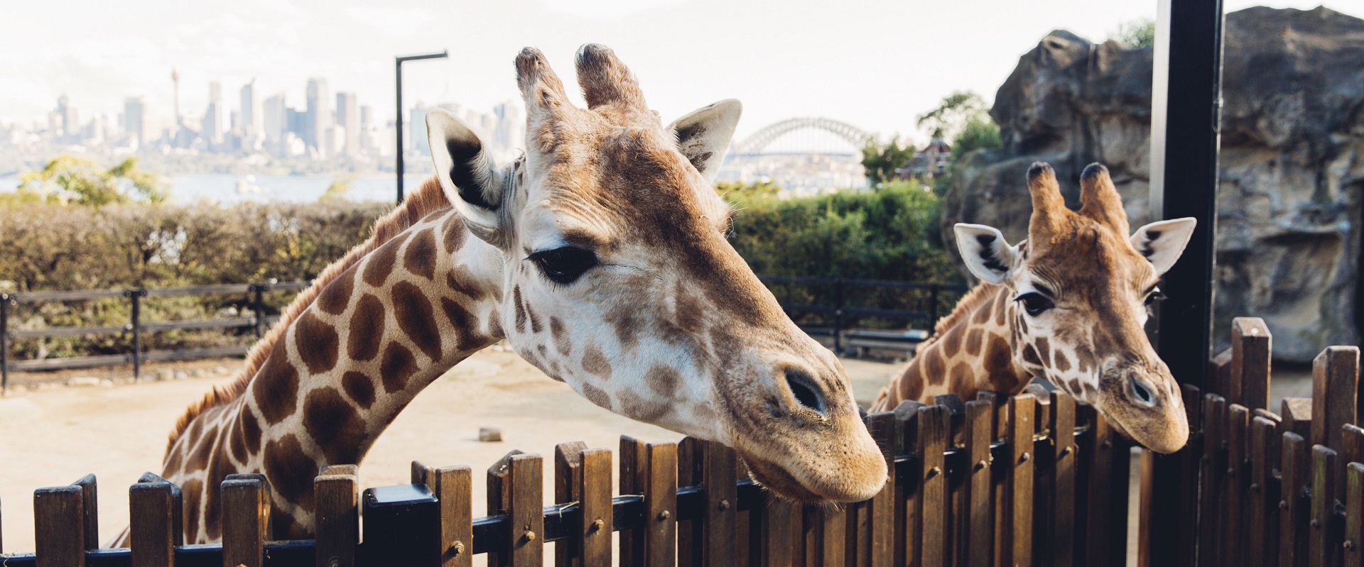 Taronga Zoo. Destination NSW