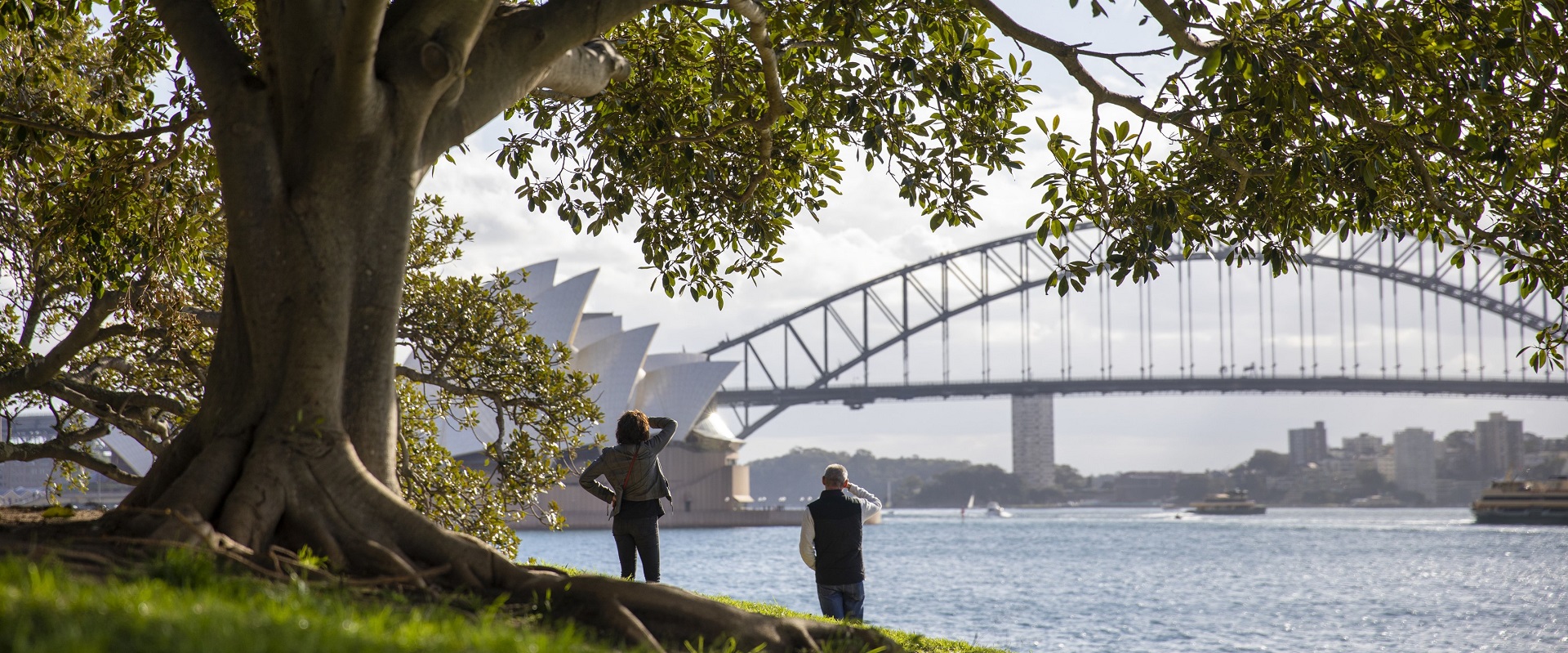 The Royal Botanic Garden of Sydney. Image: Destination NSW