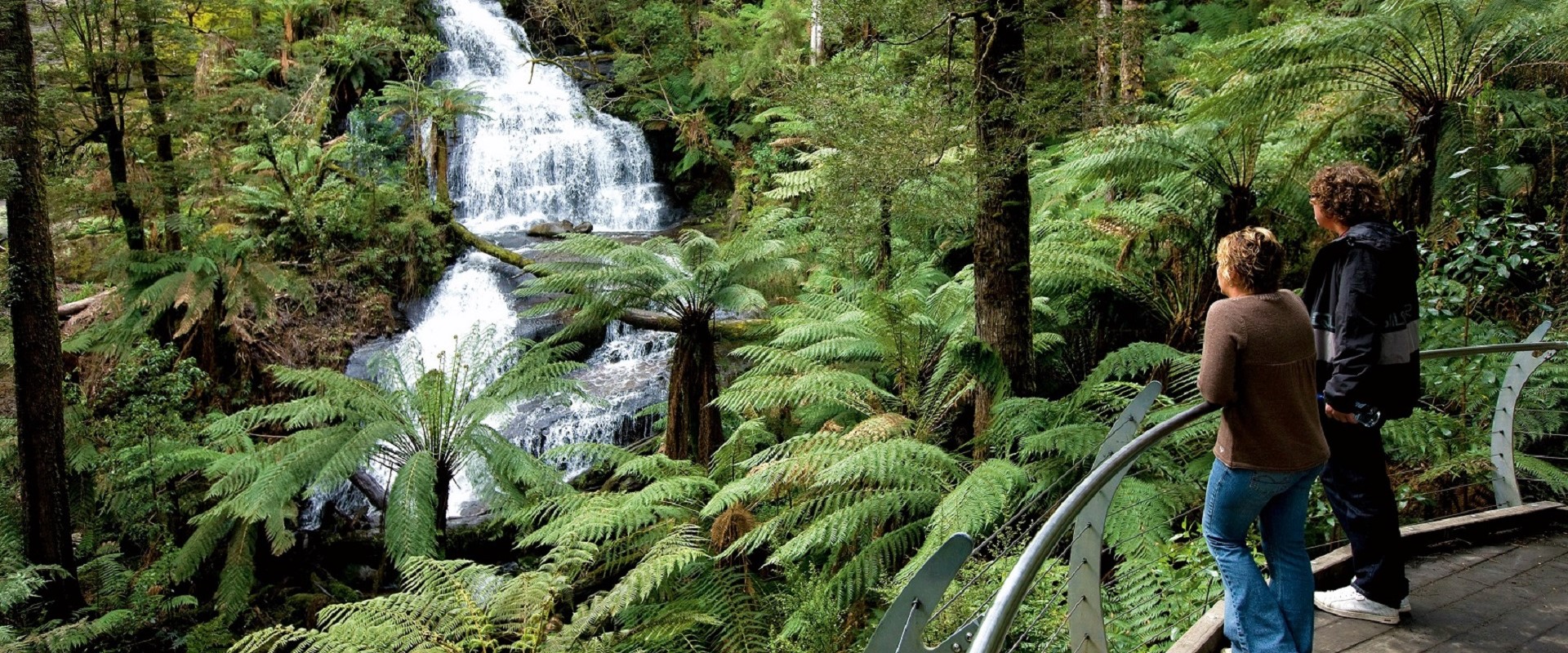 Great Otways National Park. Image: Visit Victoria